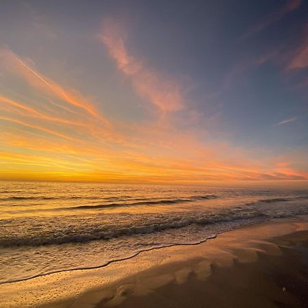 The Molloy - Treasure Island Suites & Cottages St. Pete Beach Εξωτερικό φωτογραφία